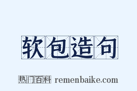 软包造句是什么意思的图片